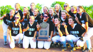Gibbs champs