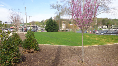 The pocket park that is being leased to the city has been turfed recently and plans are being made to design the Kingston Pike lot to honor the Everly Brothers, who attended West High School. (Photo by Mike Steely)
