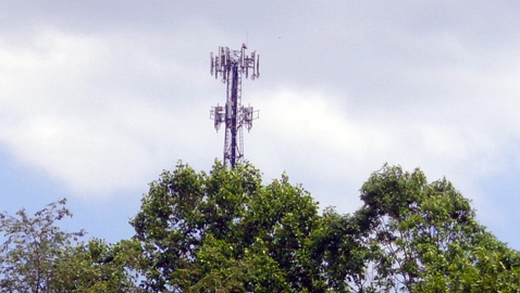 Photo by Mike Steely Can you go anywhere in Knox County without seeing a cell tower in the distance? This one is located in the Corryton area, rising high above the Clapp's Chapel Cemetery.