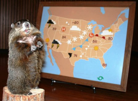 Chattanooga Chuck’s Official 2016 Groundhog Day Forecast 