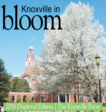 2016 Knoxville in Bloom