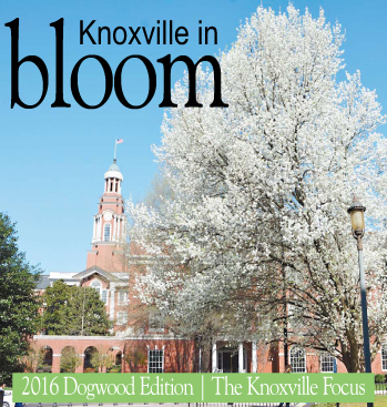 dOGWOOD fRONT