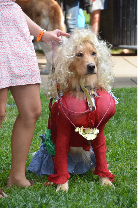 ‘History Hound’ Dog Costume Contest