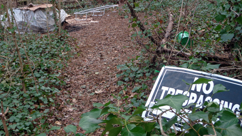 Homeless Camp Cleaned Up in Halls