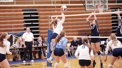 Hardin Valley is working on a volleyball masterpiece