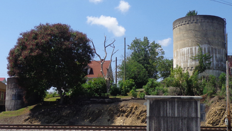 Visiting Historic Bulls Gap