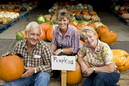 Edible Pumpkins: A Feast for the Eyes, Then for Your Pies