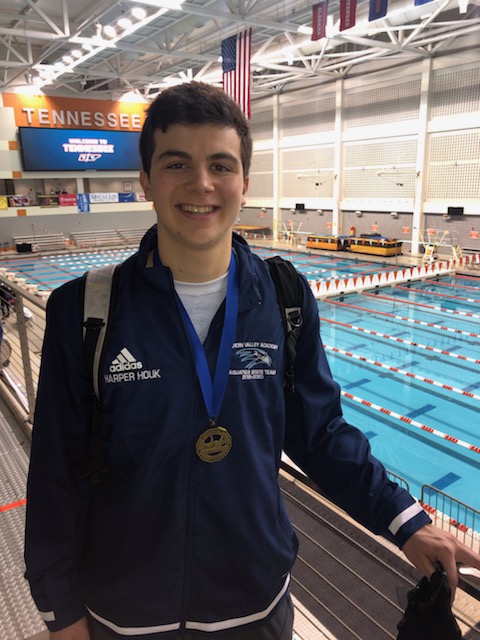 Houk surprises himself in 200 IM at state swim meet