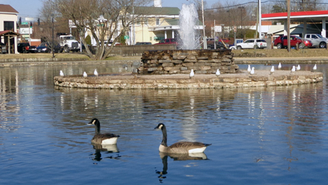 City may acquire Fountain City Park