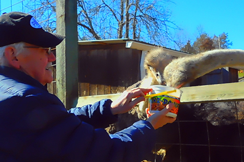 A Day Away: Little Ponderosa Zoo worth a family visit