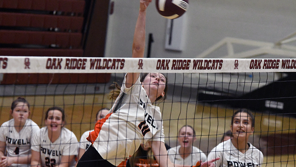 Lady Panthers advance to regionals after Cinderella district run