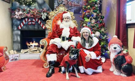 Ripley’s Aquarium of the Smokies Celebrates Santa’s Seaside Shellabration